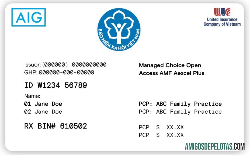 Cartão de seguro saúde do Vietnã exemplo